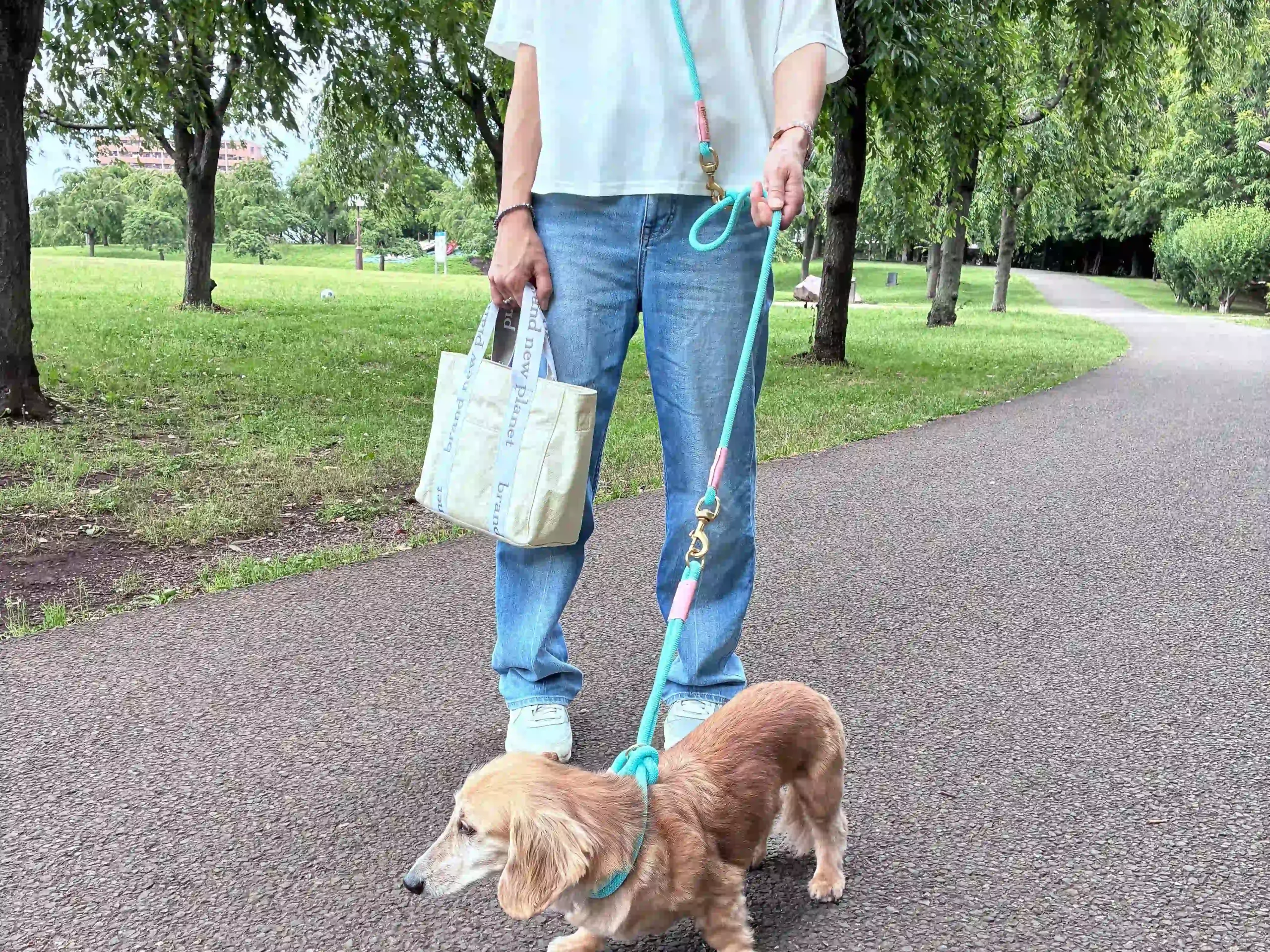 ショルダーリードがおすすめの人6タイプ｜犬とのお散歩をもっと快適に
